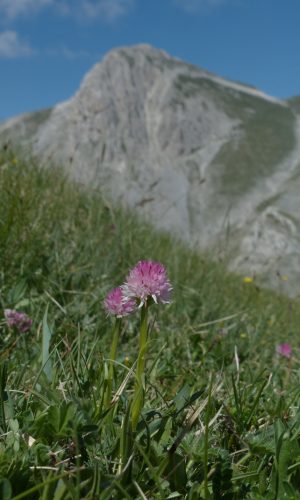 Reg. ABRUZZO Prov. L'Aquila 06-07-2024