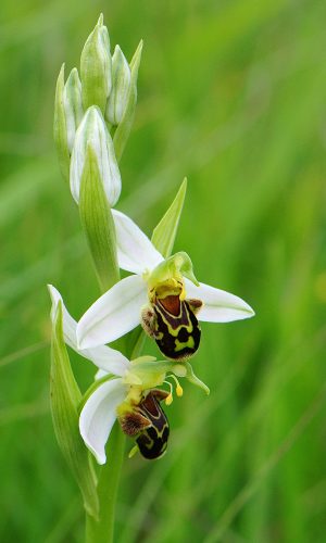 Reg. ABRUZZO Prov. Chieti 03-06-2016