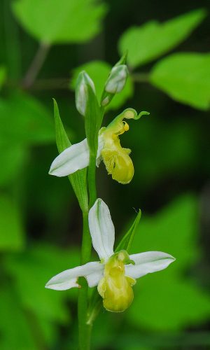 Reg. FRIULI-VENEZIA GIULIA Prov. Pordenone 24-05-2022