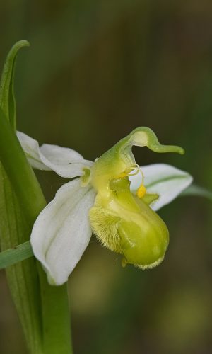 Reg. FRIULI-VENEZIA GIULIA Prov. Pordenone 21-05-2023