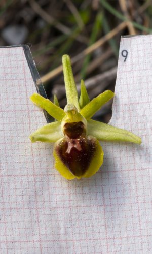 Reg. LIGURIA Prov. Imperia 10-05-2012