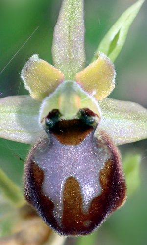 Reg. TOSCANA Prov. Grosseto 23-04-2011