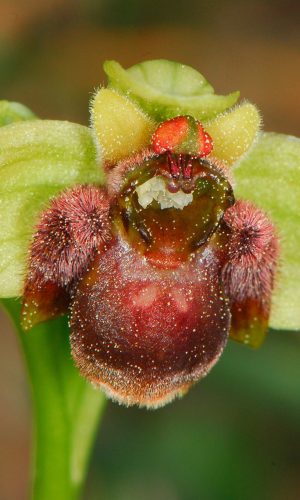 Reg. TOSCANA Prov. Livorno 14-04-2011