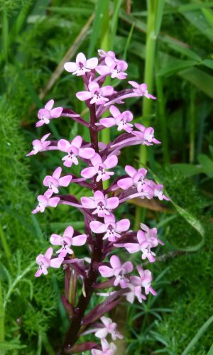 Reg. SICILIA Prov. Catania 27-04-2013