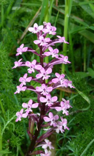 Reg. SICILIA Prov. Messina 27-04-2013