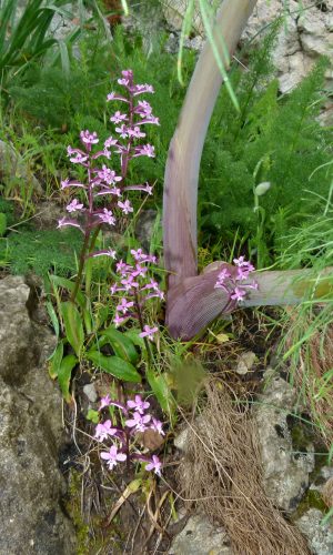 Reg. SICILIA Prov. Messina 27-04-2013