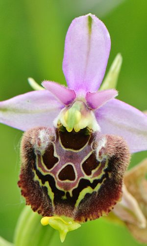 Reg. ABRUZZO Prov. Chieti 13-06-2016
