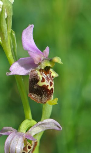 Reg. ABRUZZO Prov. Chieti 03-06-2017