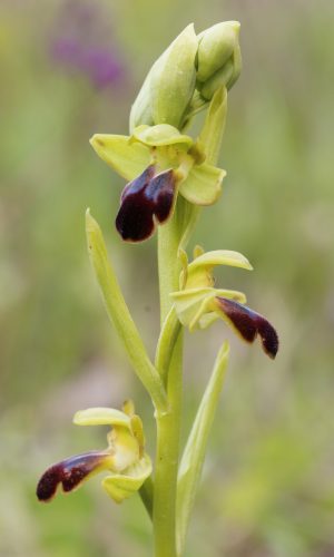 Reg. EMILIA ROMAGNA Prov. Bologna 26-04-2024