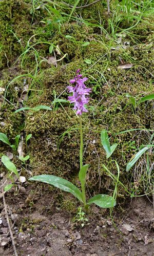 Reg. SARDEGNA Prov. Sud Sardegna 22-04-2014