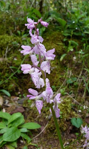 Reg. SARDEGNA Prov. Sud Sardegna 22-04-2014
