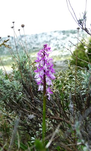 Reg. SARDEGNA Prov. Nuoro 28-04-2014
