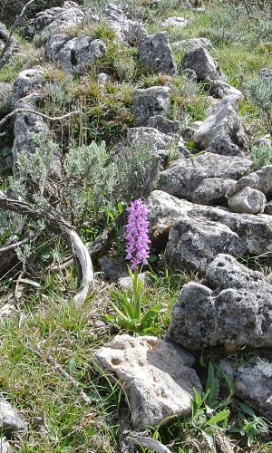 Reg. SARDEGNA Prov. Nuoro 28-04-2014