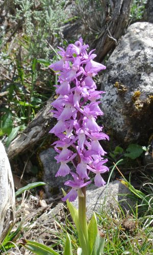 Reg. SARDEGNA Prov. Nuoro 28-04-2014