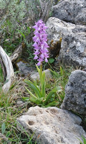Reg. SARDEGNA Prov. Nuoro 28-04-2014