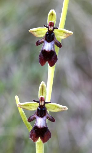 Reg. TRENTINO-ALTO ADIGE Prov. Trento 20-04-2024