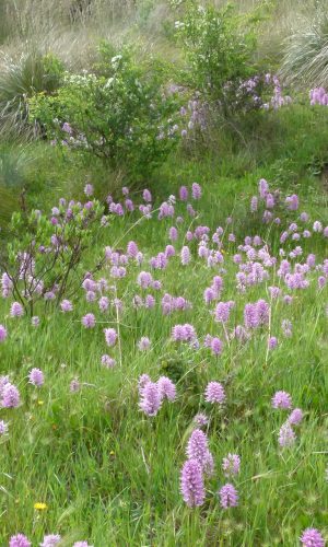 Reg. SICILIA Prov. Ragusa 24-04-2013