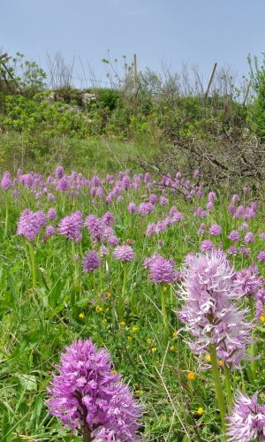 Reg. SICILIA Prov. Ragusa 03-04-2016