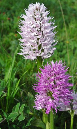 Reg. SICILIA Prov. Trapani 05-04-2016