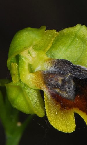 Reg. SARDEGNA Prov. Oristano 21-04-2012