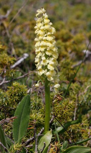 Reg. ABRUZZO Prov. L'Aquila 28-05-2018