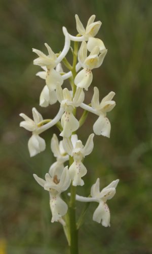 Reg. EMILIA ROMAGNA Prov. Bologna 26-04-2024