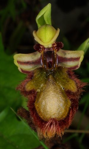 Reg. SARDEGNA Prov. Nuoro 09-05-2009