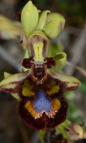 Reg. SARDEGNA Prov. Sassari 13-04-2024