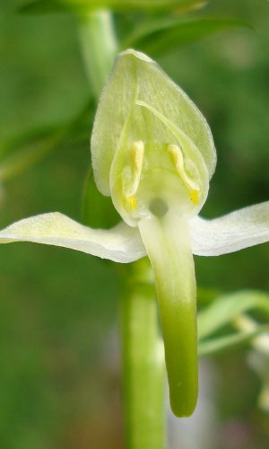 Reg. CAMPANIA Prov. Salerno 27-05-2009