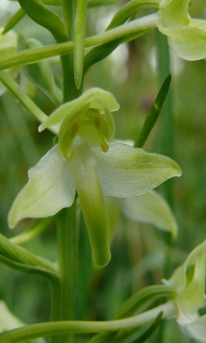Reg. PUGLIA Prov. Bari 05-05-2010