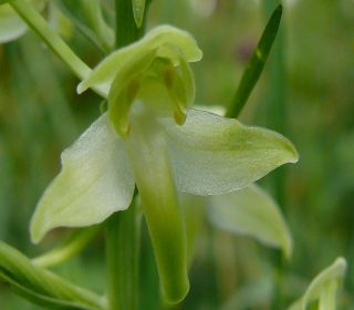 Reg. PUGLIA Prov. Bari 05-05-2010