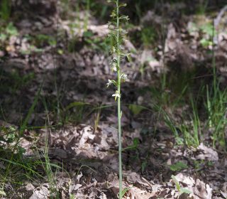 Reg. BASILICATA Prov. Potenza 20-06-2015
