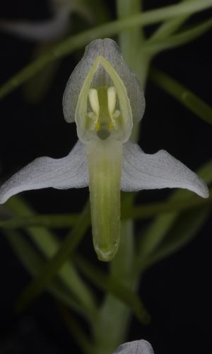 Reg. BASILICATA Prov. Potenza 03-07-2021