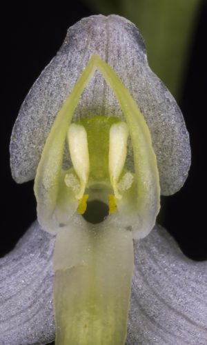 Reg. BASILICATA Prov. Potenza 03-07-2021