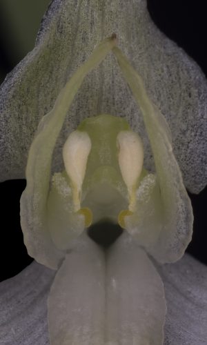 Reg. BASILICATA Prov. Potenza 20-06-2022