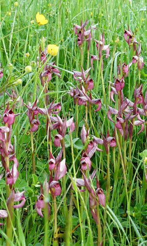 Reg. SARDEGNA Prov. Nuoro 26-04-2014