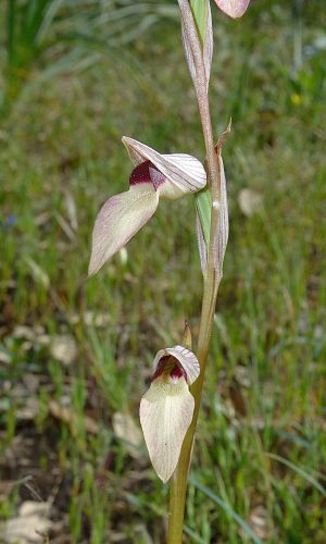 Reg. SARDEGNA Prov. Nuoro 26-04-2014
