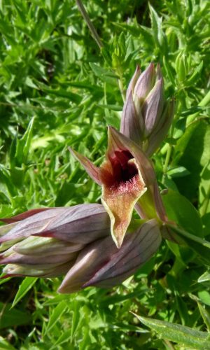 Reg. SICILIA Prov. Messina 27-04-2013