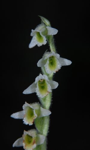 Reg. VENETO Prov. Vicenza 29-09-2014