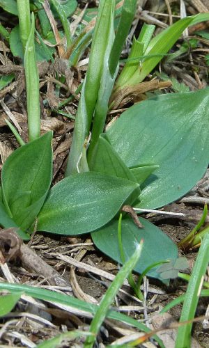 Reg. VENETO Prov. Vicenza 21-09-2021